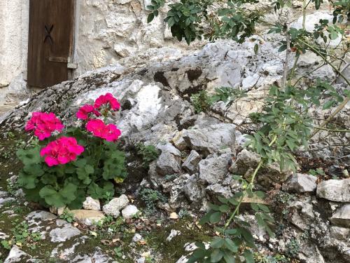 Le Capanne00148